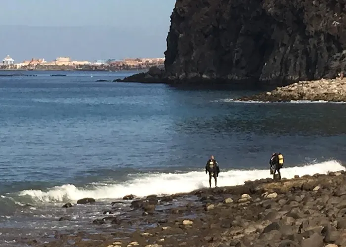 Penthouse Olas * パルム・マール